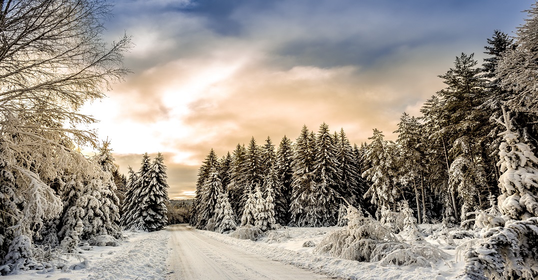 Foto del invierno - frases sobre el invierno