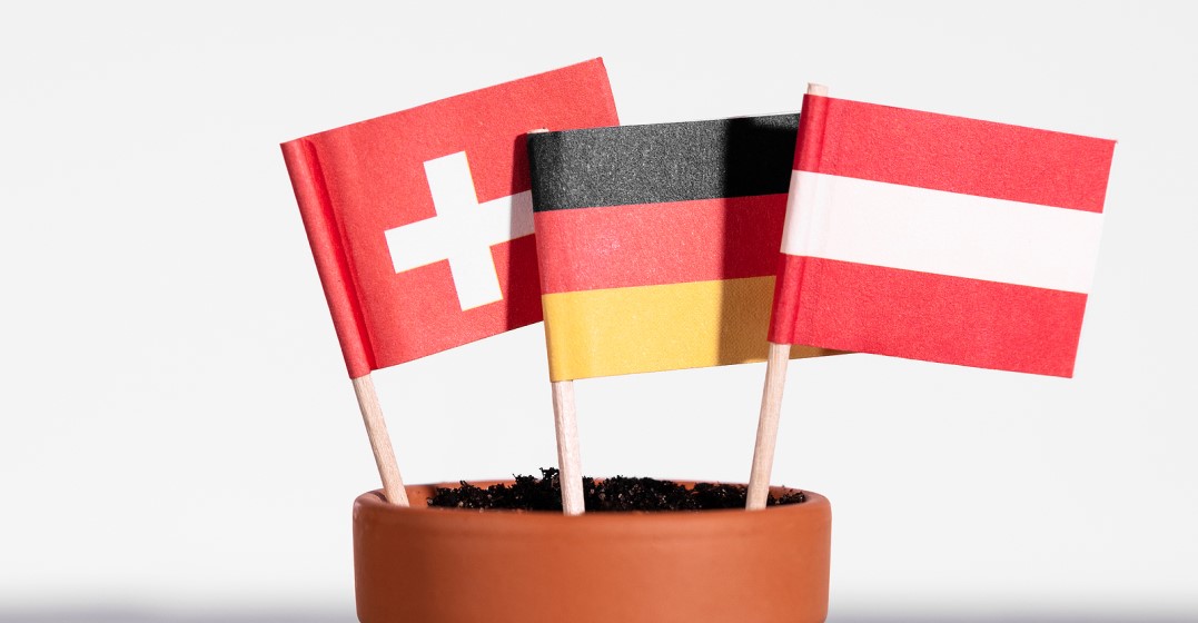 Swiss, Austrian and German flag: Key vocabulary differenced