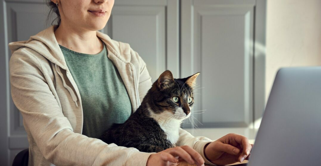 A qoman at a laptop with her cat on her lap looking up animal sounds in different languages