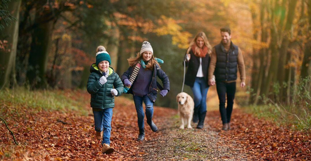 Family walking in the forest with a dog representing the birth rate in Germany