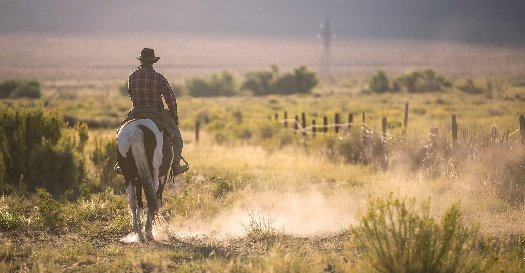 A cowboy speaking Texas German riding his horse