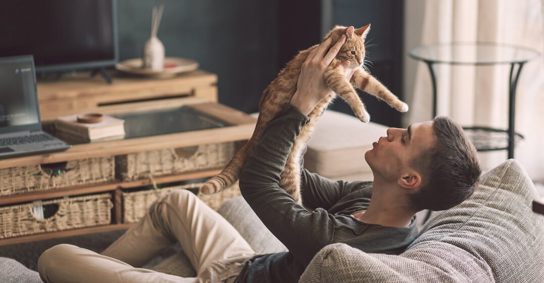 10 popular French cat names for male and female cats