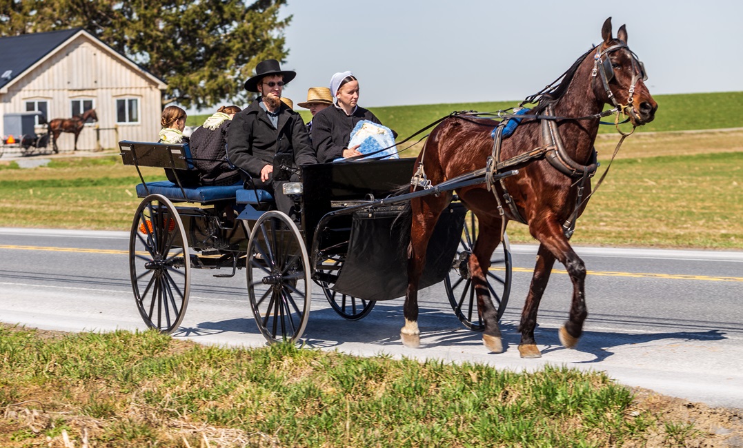 Amish people on a horse carriage speaking Amish German