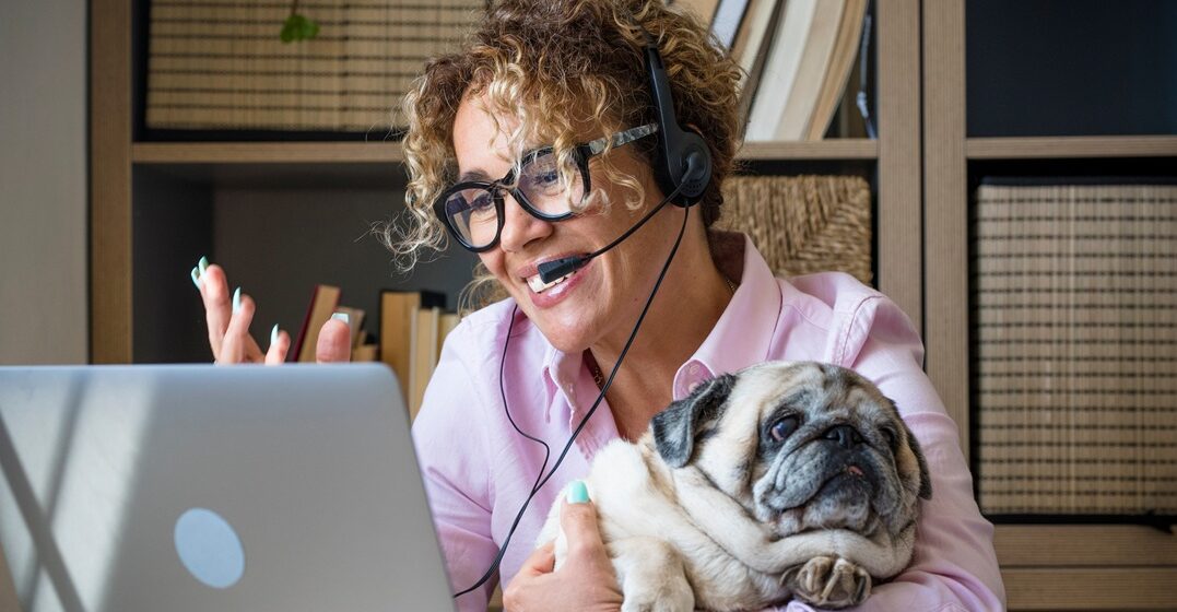 Smiley woman on her laptop, sitting with a pug dog in her arms and chatting about the best online courses online
