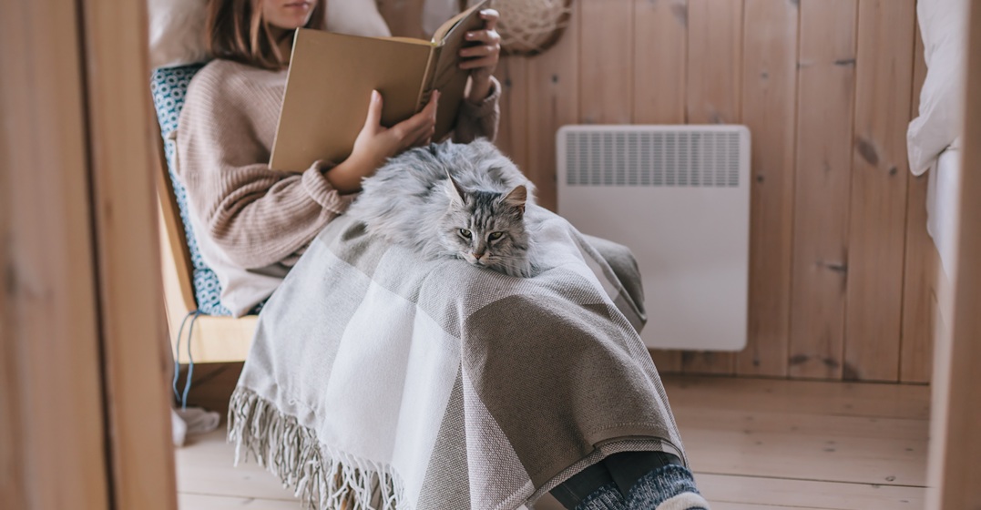 Junge Frau sitzt in einem Sessel und liest ein Buch mit ihrer Katze - deutsche WInterruhe