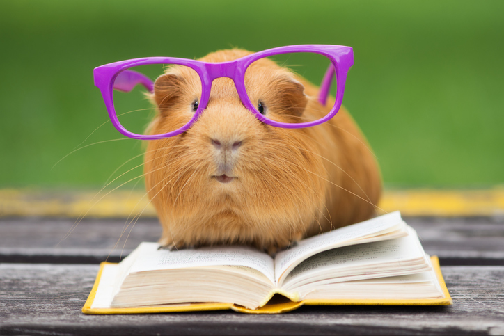30 fun facts about the English language
