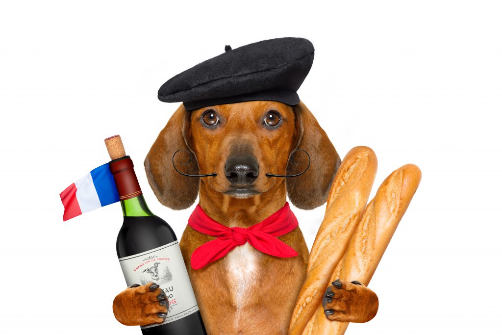 Learn French and Access One of the Richest Cultures on Earth